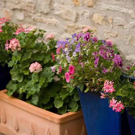 Les Chambons - Tranquil In The Perigord Noir Hébergement de vacances Gabillou