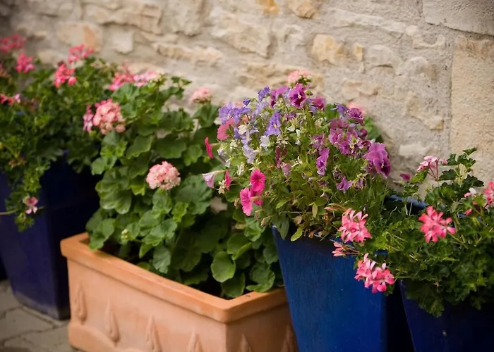 Les Chambons - Tranquil In The Perigord Noir بيت للعطل Gabillou